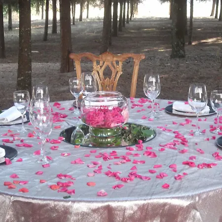 Lam Convento Do Desagravo